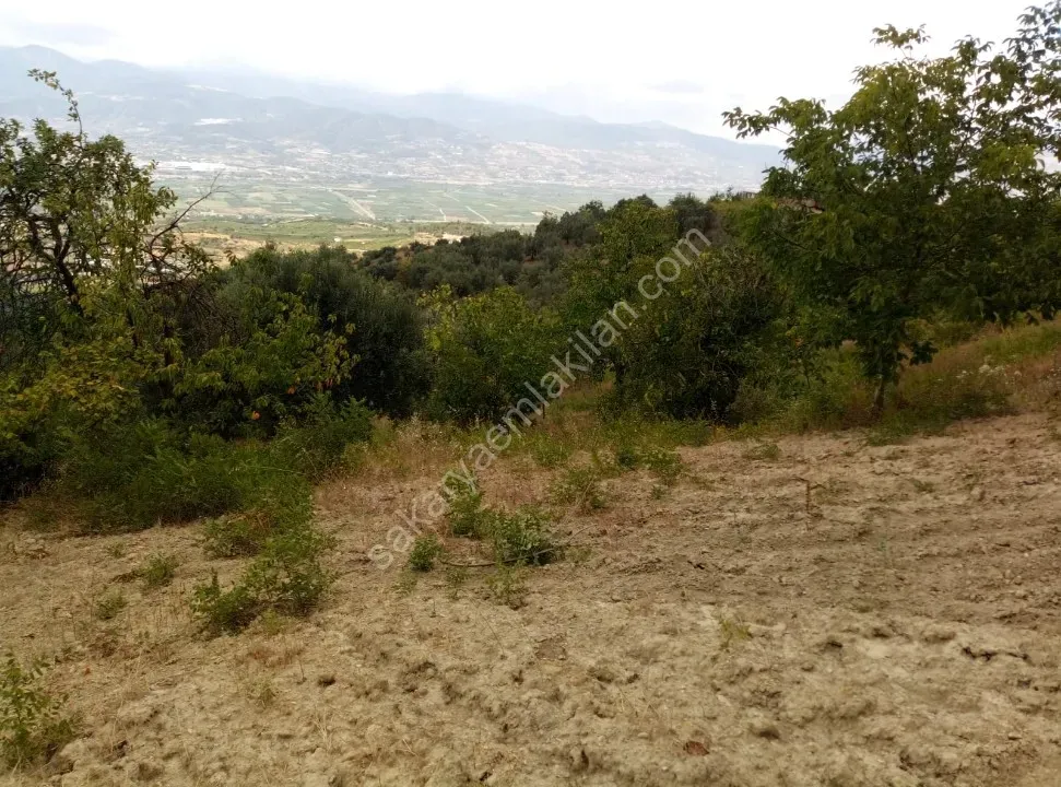 GEYVE CECELER KÖYÜNDE 2122 m² FUL MANZARALI, KONTEYNER VE TİNY HOUSE İÇİN İDEAL ARAZİ