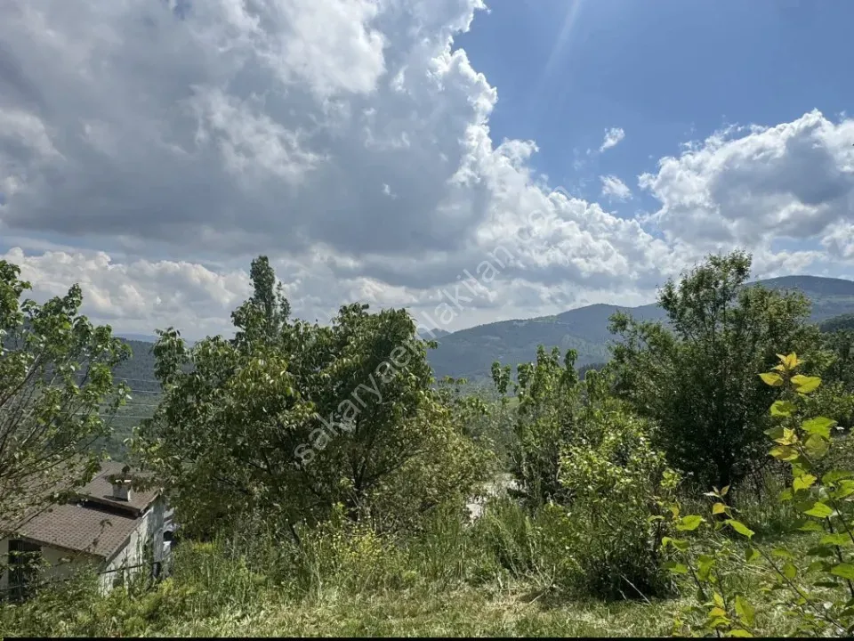 Sakarya -Geyve Akıncı Mahallesinde  5+1 Dublex Köy Evi