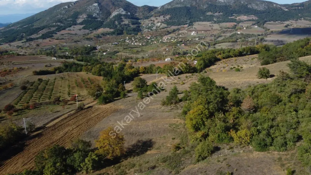 SAKARYA GEYVE GÜNHOŞLAR DA ACİL SATILIK 16 DÖNÜM ARAZİ