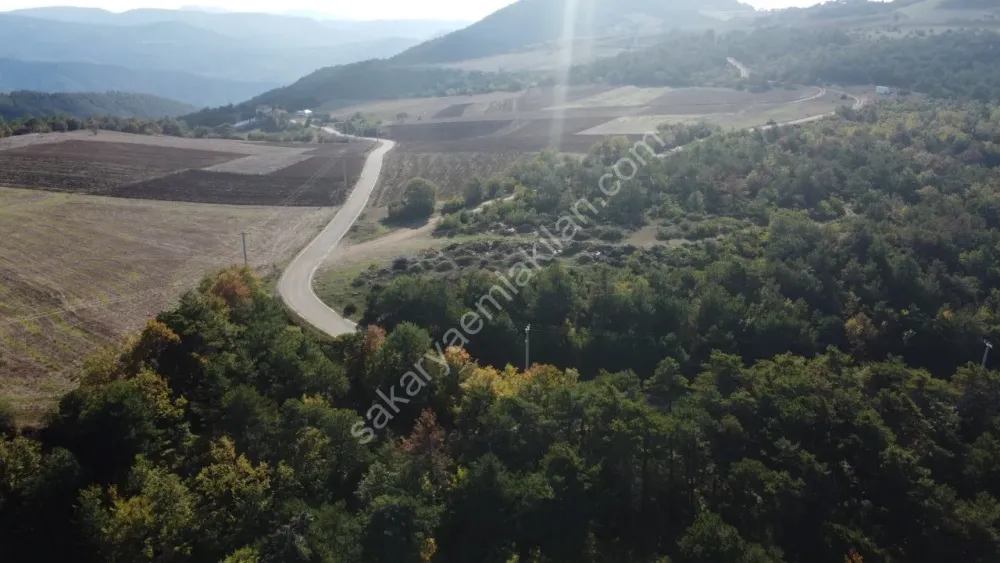 SAKARYA GEYVE GÜNHOŞLAR DA ACİL SATILIK 16 DÖNÜM ARAZİ