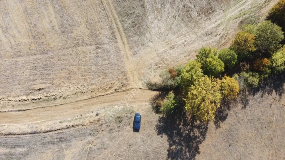 SAKARYA GEYVE GÜNHOŞLAR DA ACİL SATILIK 16 DÖNÜM ARAZİ