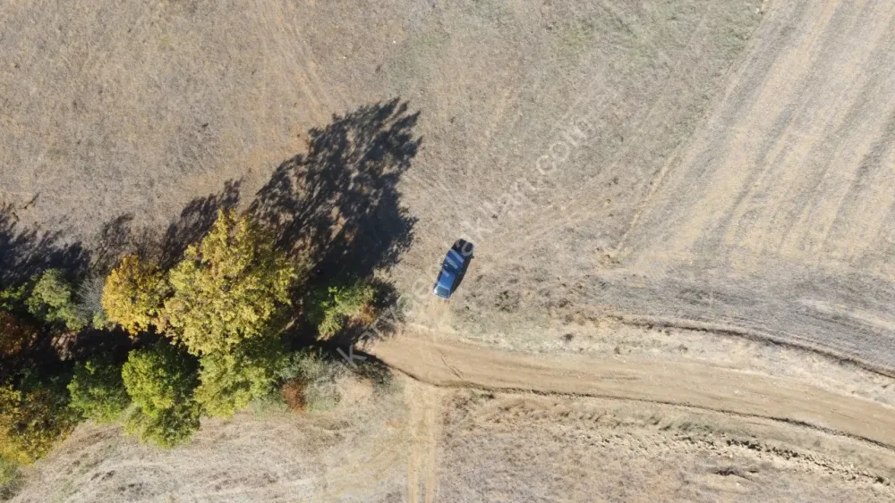 SAKARYA GEYVE GÜNHOŞLAR DA ACİL SATILIK 16 DÖNÜM ARAZİ