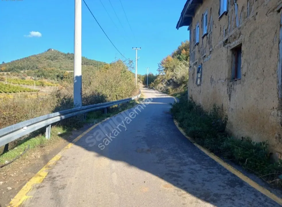 SAKARYA GEYVE GÜNHOŞLAR DA ACİL SATILIK 16 DÖNÜM ARAZİ