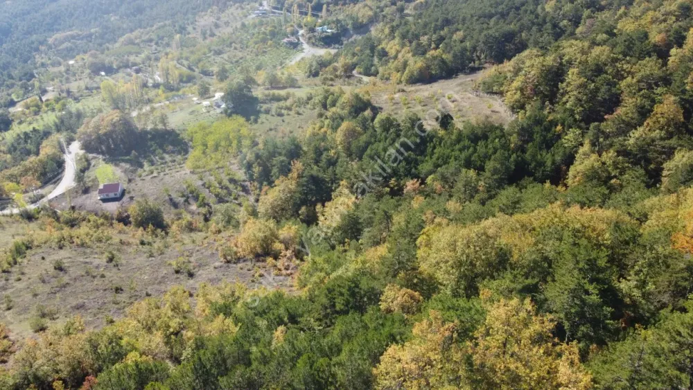 PAMUKOVA KADIKÖY MAH.8069 M2 FIRSAT ARAZİ