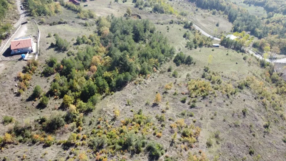 PAMUKOVA KADIKÖY MAH.8069 M2 FIRSAT ARAZİ