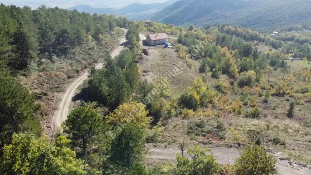 PAMUKOVA KADIKÖY MAH.8069 M2 FIRSAT ARAZİ