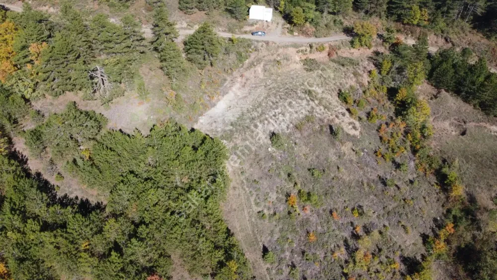 PAMUKOVA KADIKÖY MAH.8069 M2 FIRSAT ARAZİ