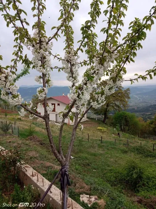 SAKARYA PAMUKOVA BAKACAK MAH.SATILIK KÖY EVİ