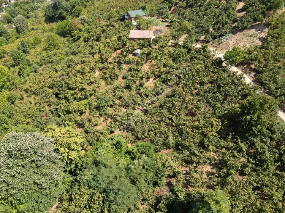 Hem Eviniz, Hem Bahçeniz Olsun Sakaryada Kaçmaz Fırsat