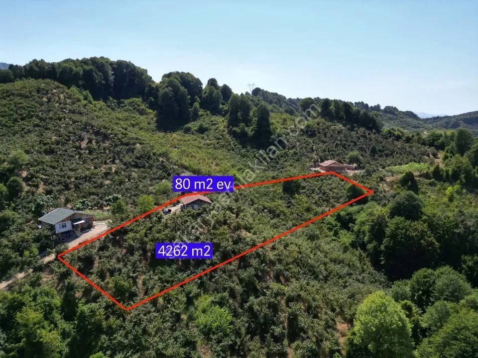 Hem Eviniz, Hem Bahçeniz Olsun Sakaryada Kaçmaz Fırsat