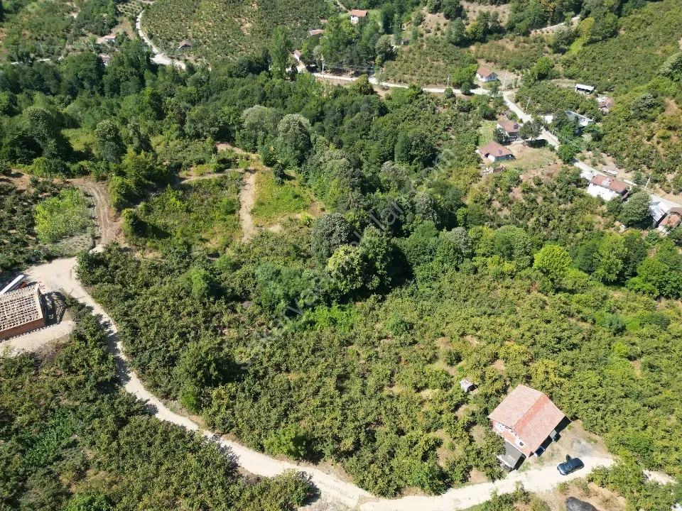 Hem Eviniz, Hem Bahçeniz Olsun Sakaryada Kaçmaz Fırsat