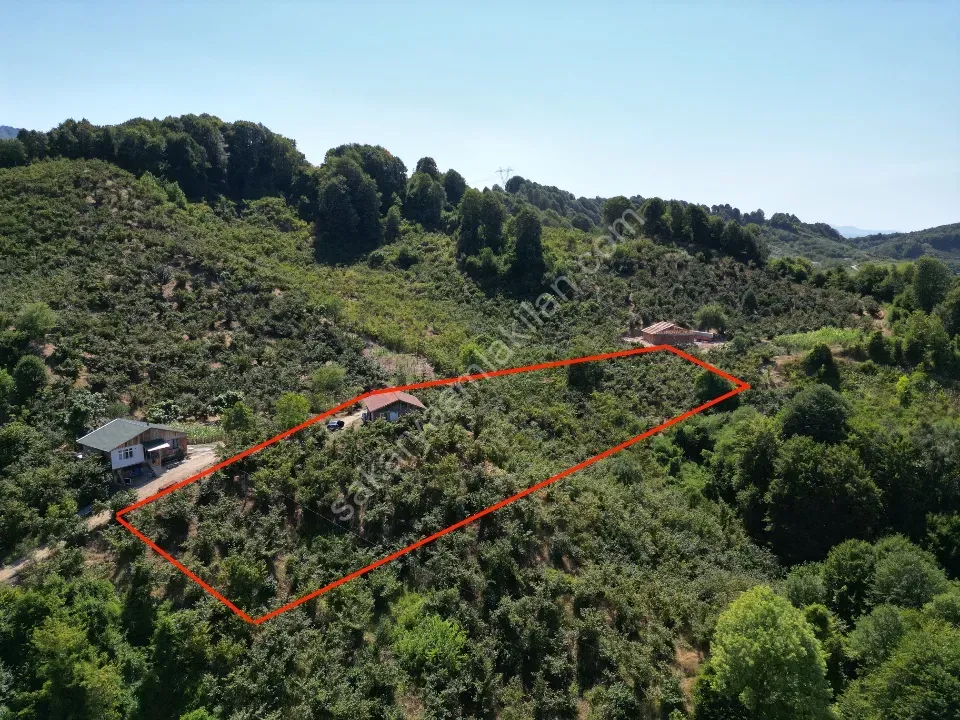 Hem Eviniz, Hem Bahçeniz Olsun Sakaryada Kaçmaz Fırsat