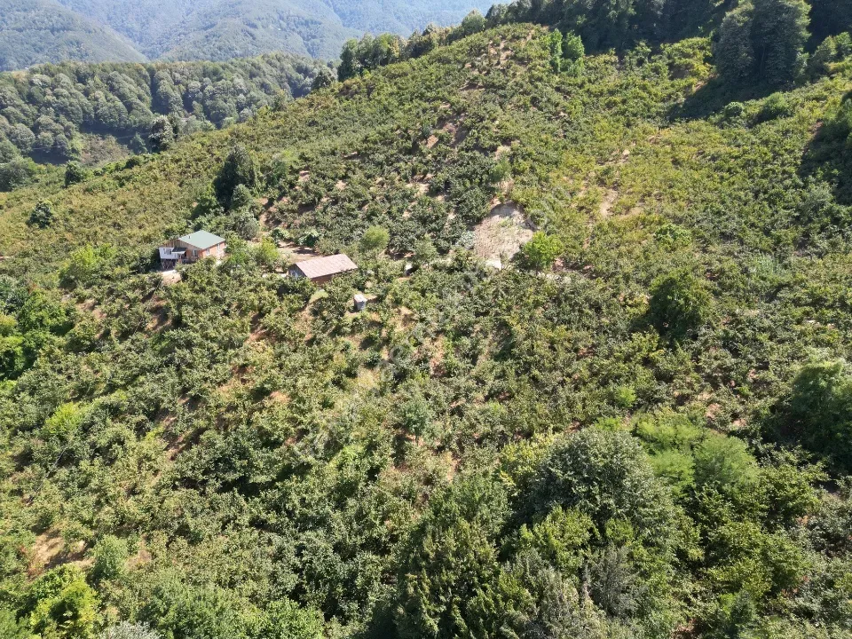 Hem Eviniz, Hem Bahçeniz Olsun Sakaryada Kaçmaz Fırsat