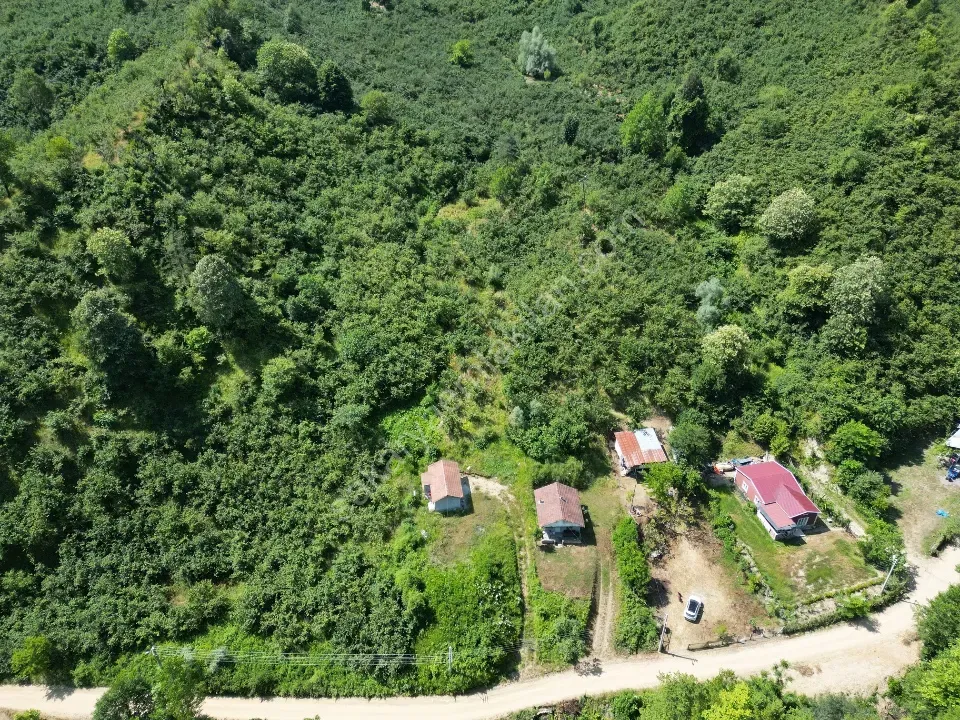 Sessizlik ve Doğa Arayanlara Özel Müstakil Yaşam Fırsatı