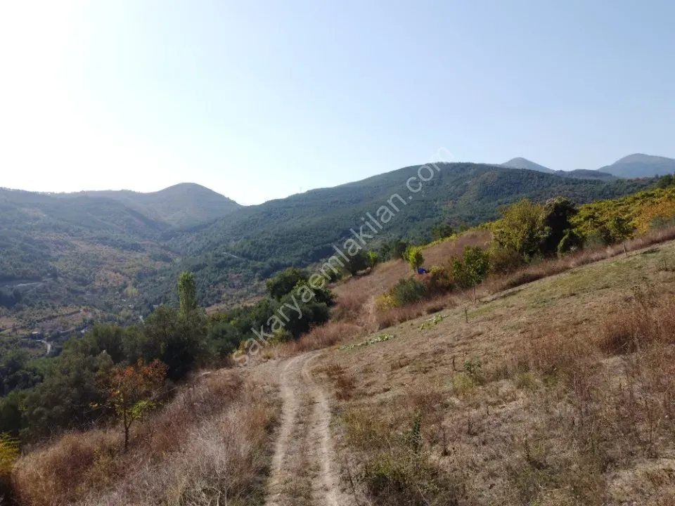 GEYVE ALİFUATPAŞA MERKEZE 3 KM KONTEYNER İÇİN İDEAL 153 m² MANZARALI YOLU SUYU VAR