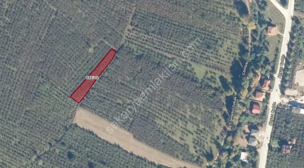 AKYAZI KÜÇÜCEK’TE YATIRIM DEĞERİ YÜKSEK 1340 m² FINDIK BAHÇESİ !