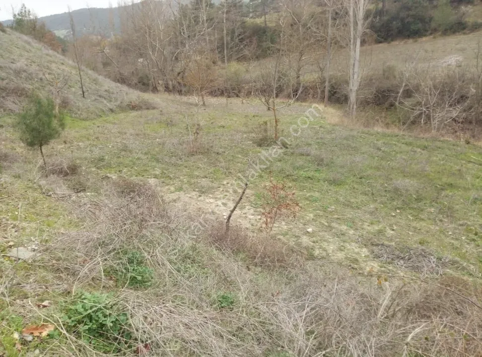 GEYVE ÇAMLIK KÖYÜNDE TAM YATIRIMLIK YOLA CEPHE 1056 m² FIRSAT HOBİ BAHÇESİ
