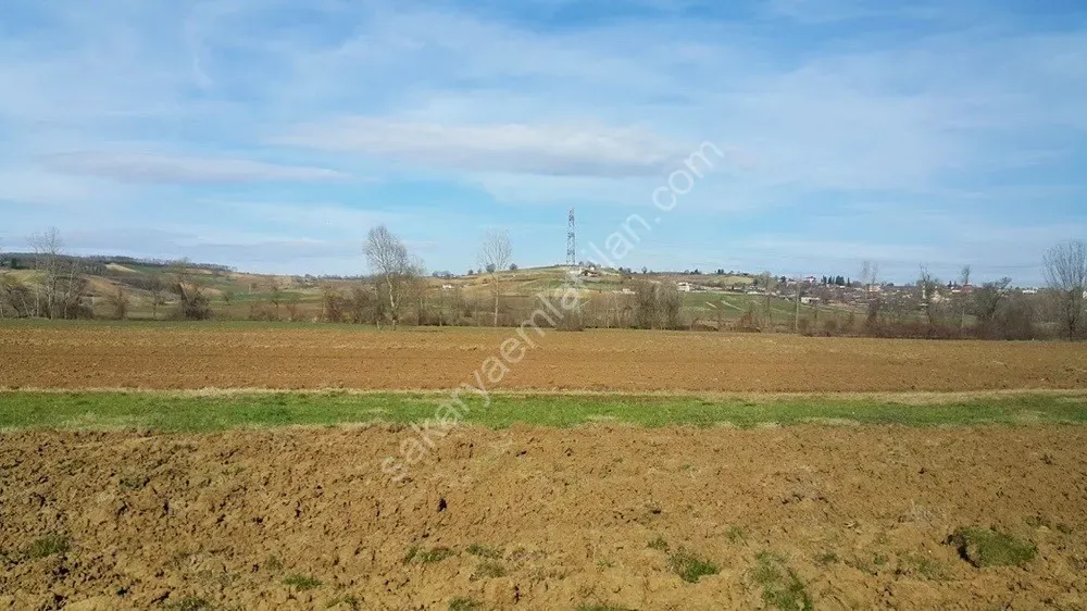 ADAPAZARI ÖRENTEPE MAHALLESİNDE SATILIK 891 M2 TARLA