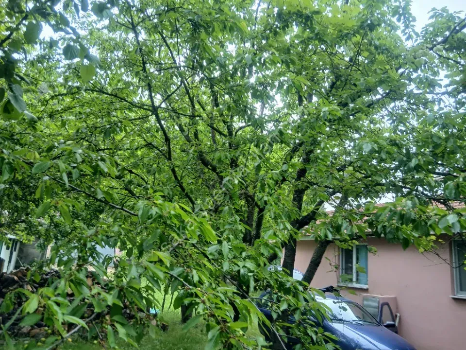 Yayla evi ile birlikte satılıktır